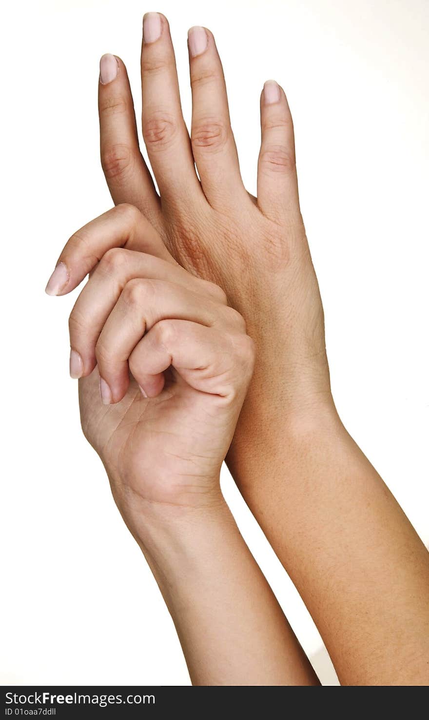 Hands of a young woman, well-kept isolated on a white background.