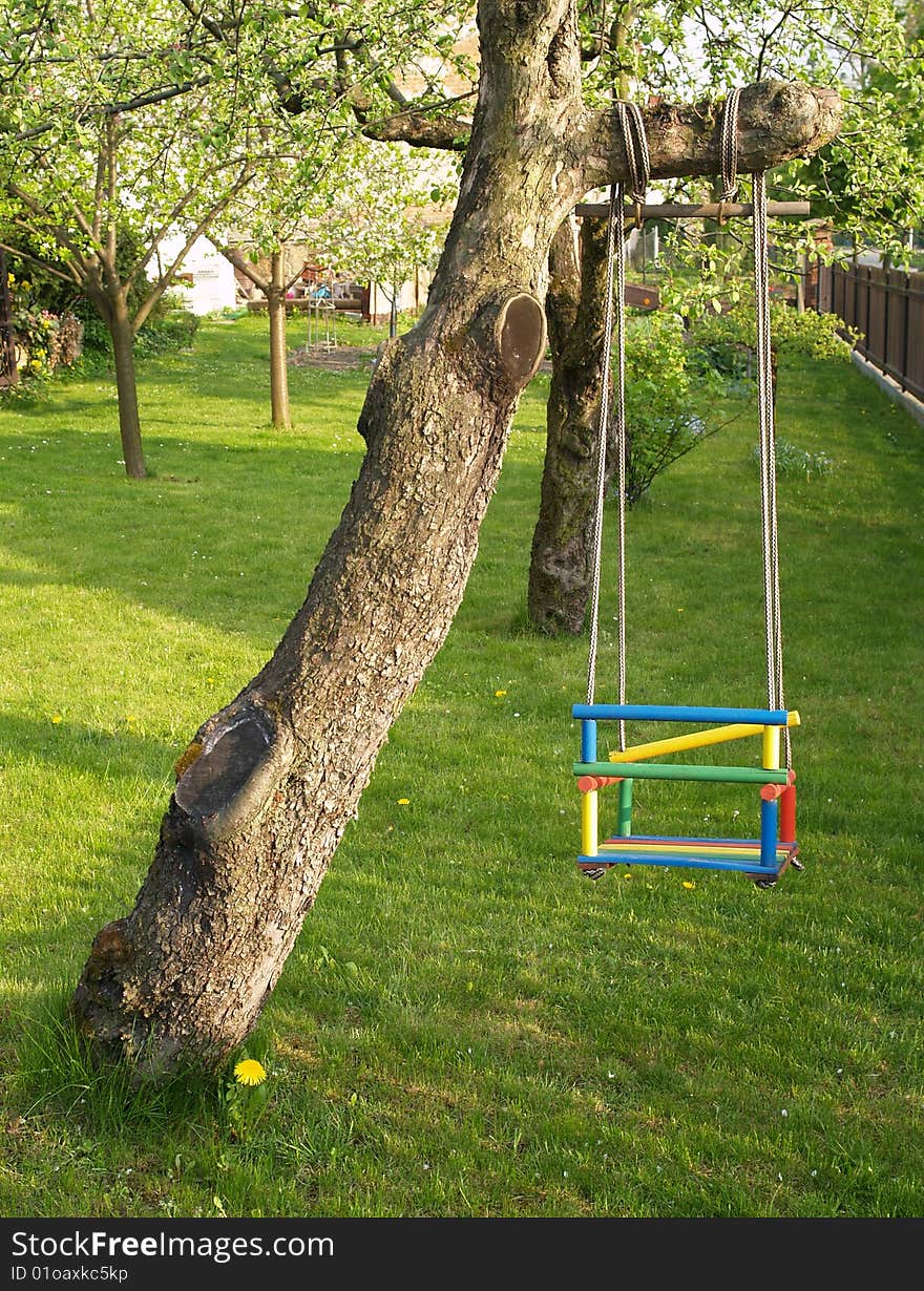 Swing for kids hang on tree branch