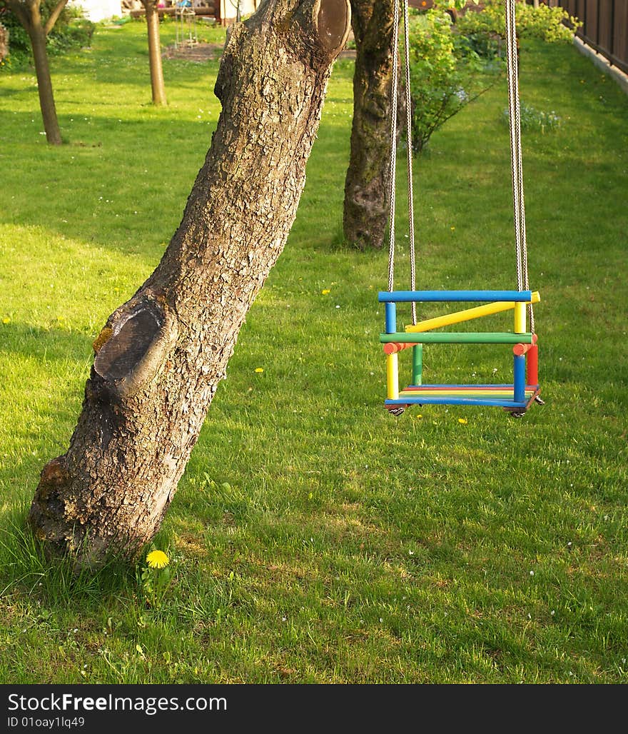 Swing for kids hang on tree branch