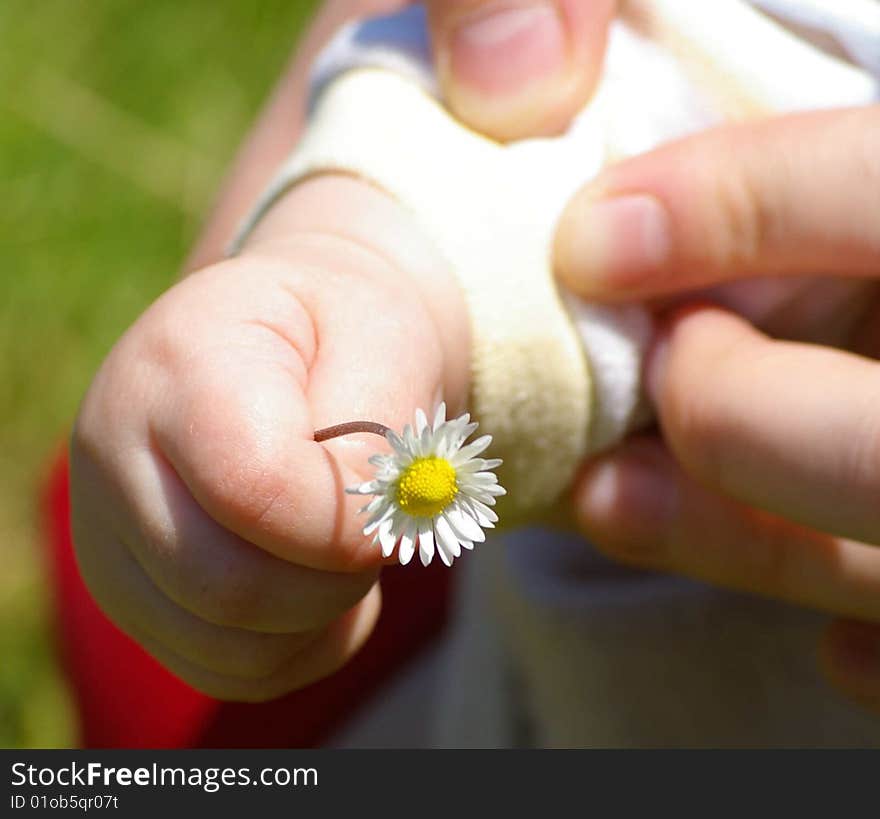 Child s hand