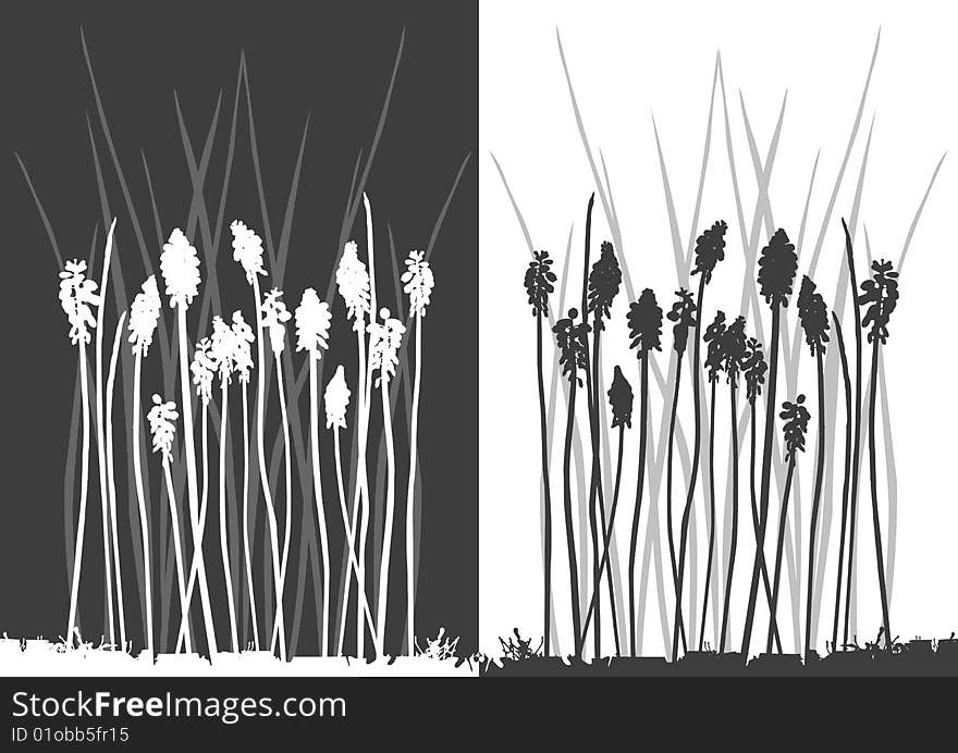 Set of vector grass silhouettes