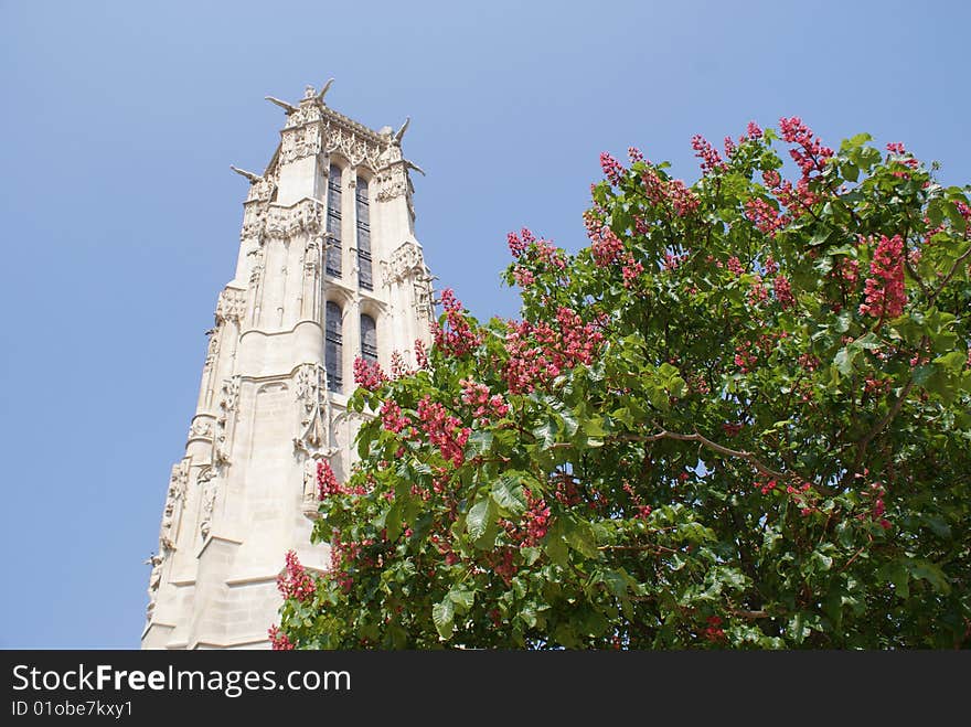 A building in paris with a beautiful tree infront of it. A building in paris with a beautiful tree infront of it