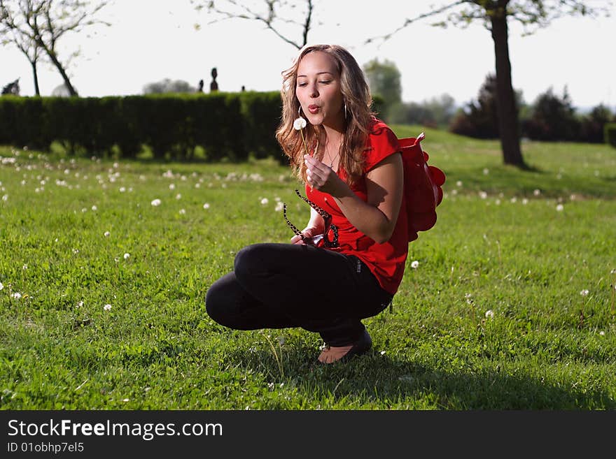 A young girl blowing a dandelion. A young girl blowing a dandelion