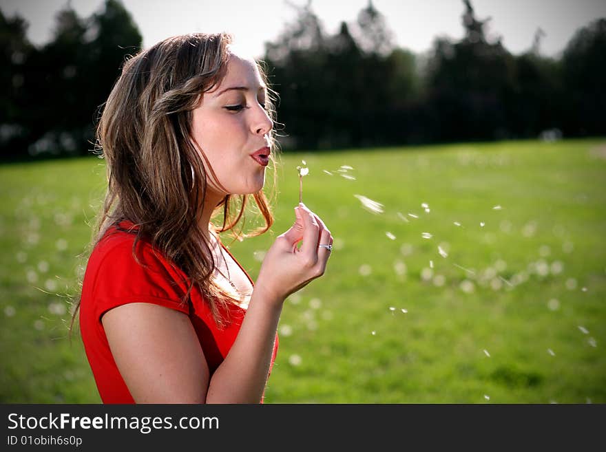 A young girl blowing a dandelion. A young girl blowing a dandelion