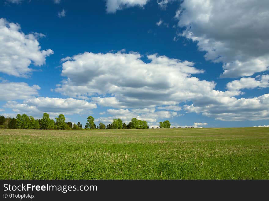 Spring green meadowunder blue sky. Spring green meadowunder blue sky