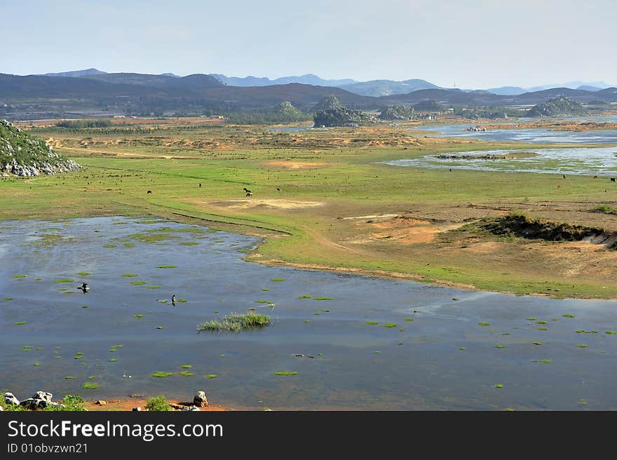 Natural beauty of the wetlands. Natural beauty of the wetlands