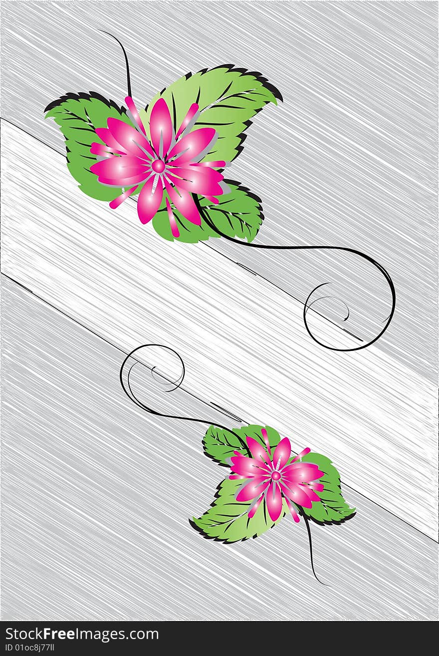 Pink flower with three green leaves in black and white background. place for your text. Pink flower with three green leaves in black and white background. place for your text.