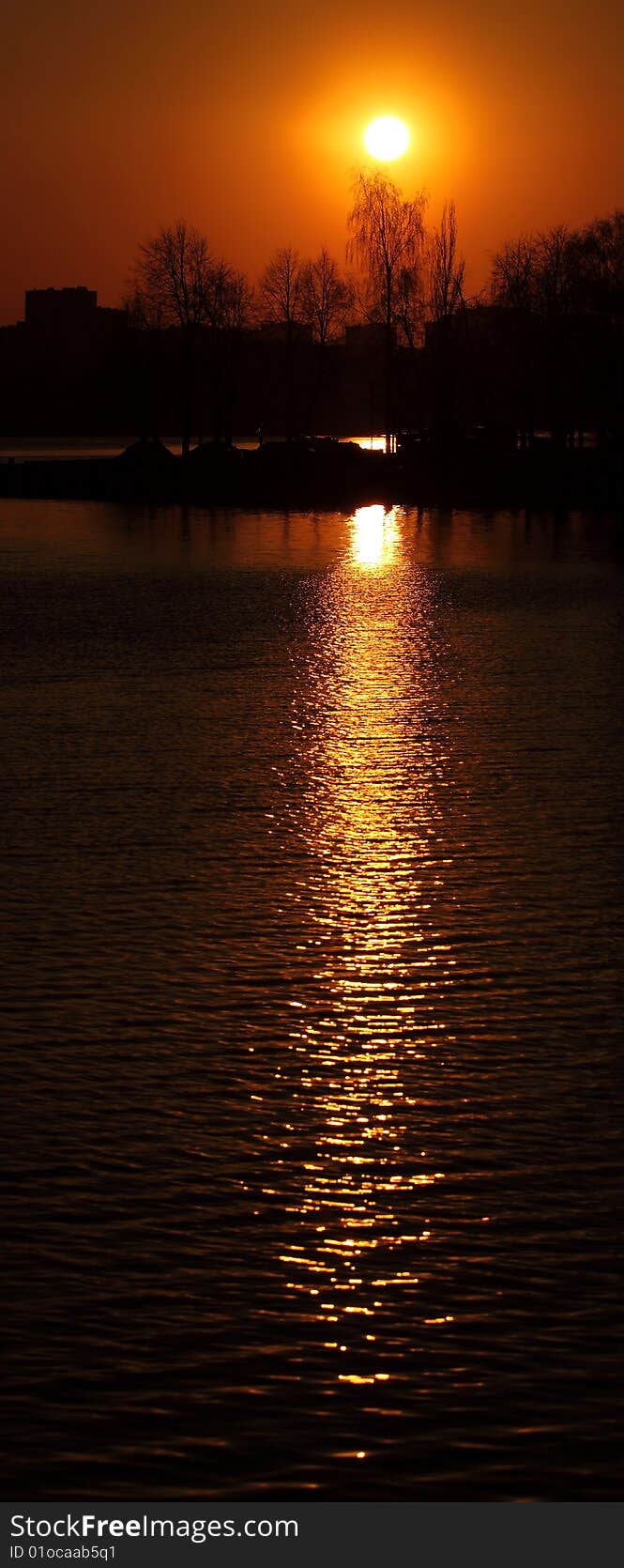 Sun over the trees reflected in the water. Sun over the trees reflected in the water