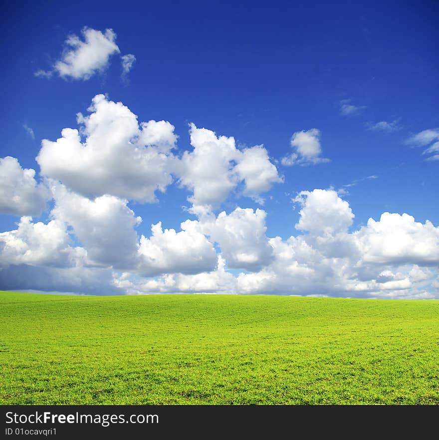 Field on a background of the blue sky