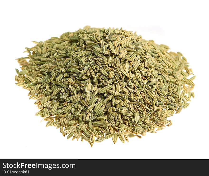 Fenchel (fennel) isolated