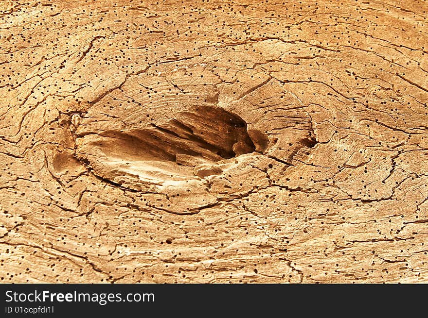 Very old cracked stump. Splendid background. Very old cracked stump. Splendid background.