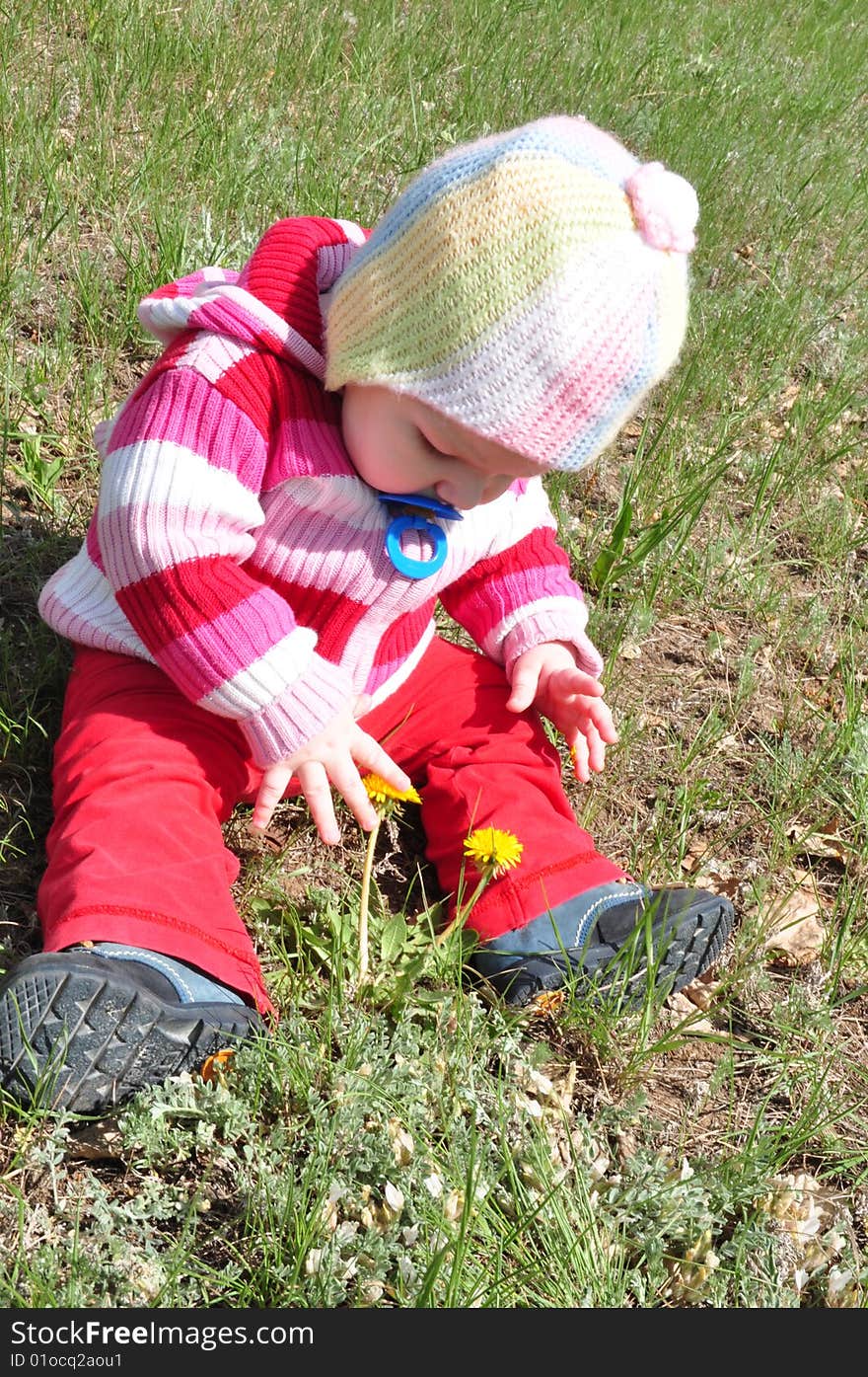 The child with dandelions