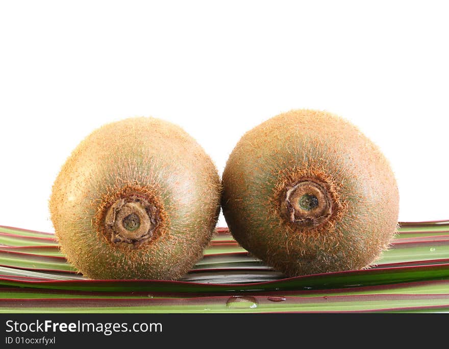 Three kiwi on leaves on a white background, it is isolated.