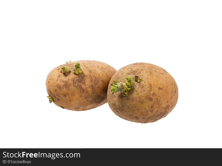 Potatoes