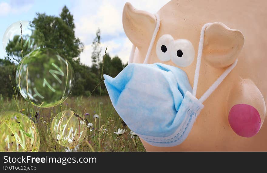 Pig with face mask