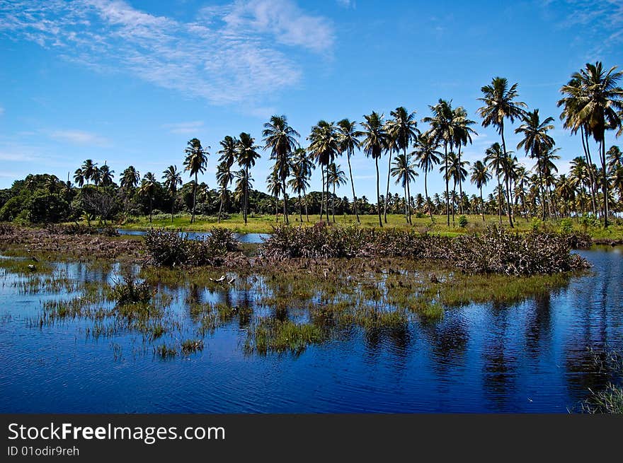 Photo taken at a coconut lake. Photo taken at a coconut lake