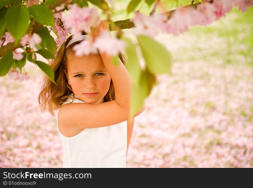 Pretty little girl posing on a a lawn that's covered with rosey petals. Pretty little girl posing on a a lawn that's covered with rosey petals