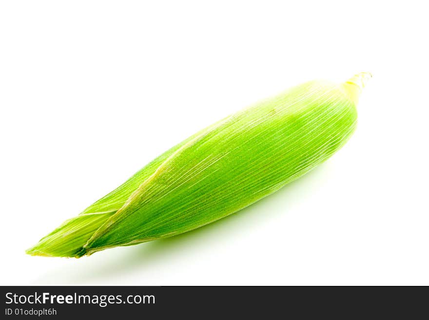 Single whole ear of maize or sweetcorn still wrapped up on a white background. Single whole ear of maize or sweetcorn still wrapped up on a white background