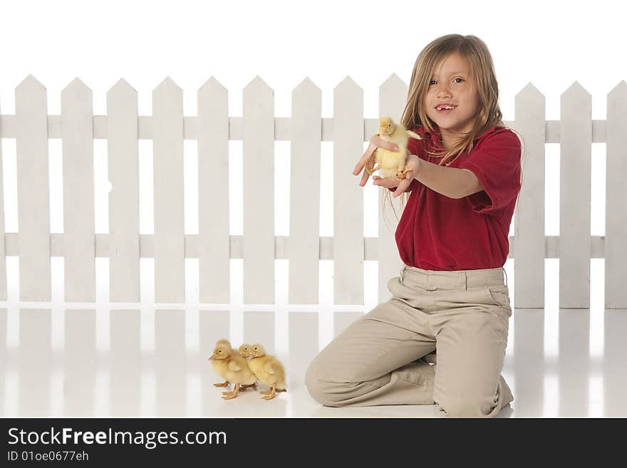 Little girl with baby ducks