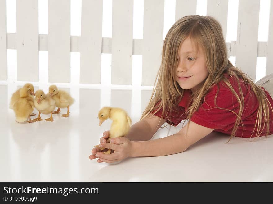 Little girl holding ducks with fence in background. Little girl holding ducks with fence in background.