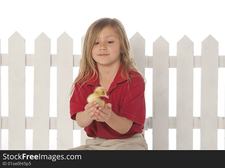 Little girl holding ducks with fence in background. Little girl holding ducks with fence in background.