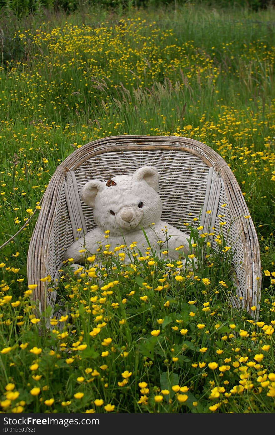 A toy bear in a chair with a butterfly on top of his head. A toy bear in a chair with a butterfly on top of his head