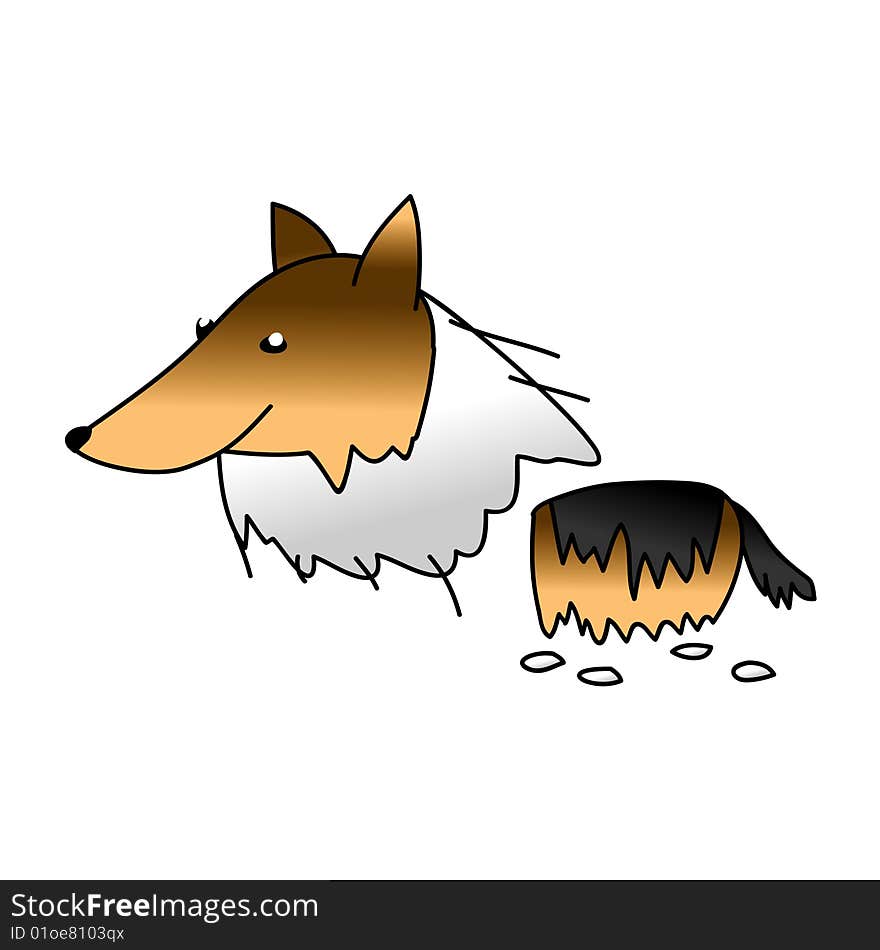 Collie Dog