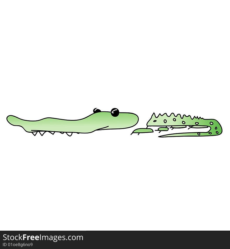 Crocodile