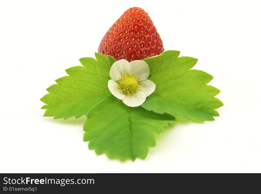 Strawberry with flower on a white background