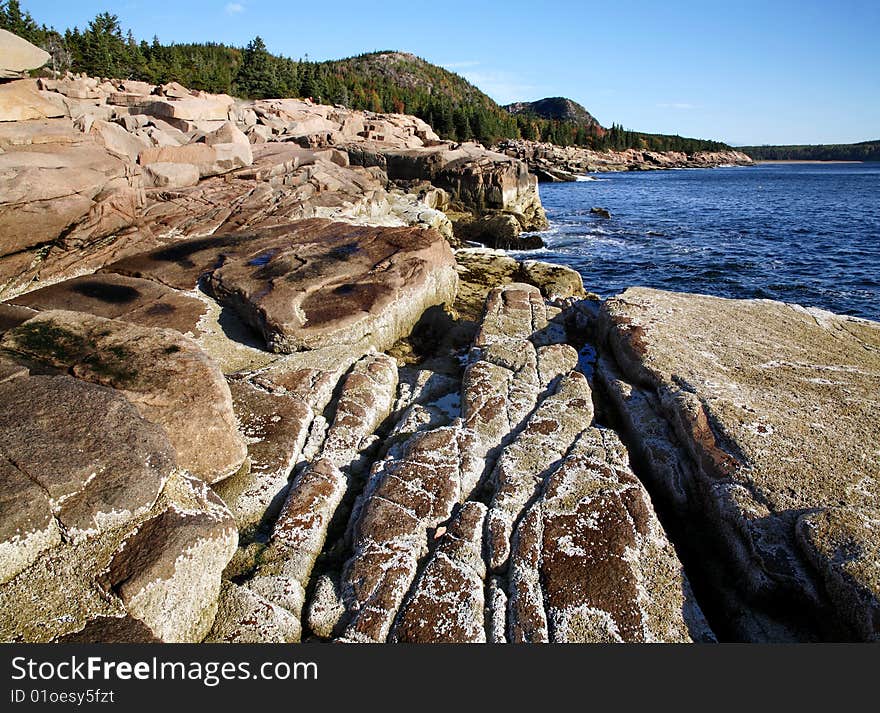 The Acadia Seacoast