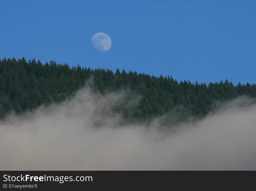 A scenic of moon, forest, mountain, and fog. A scenic of moon, forest, mountain, and fog.