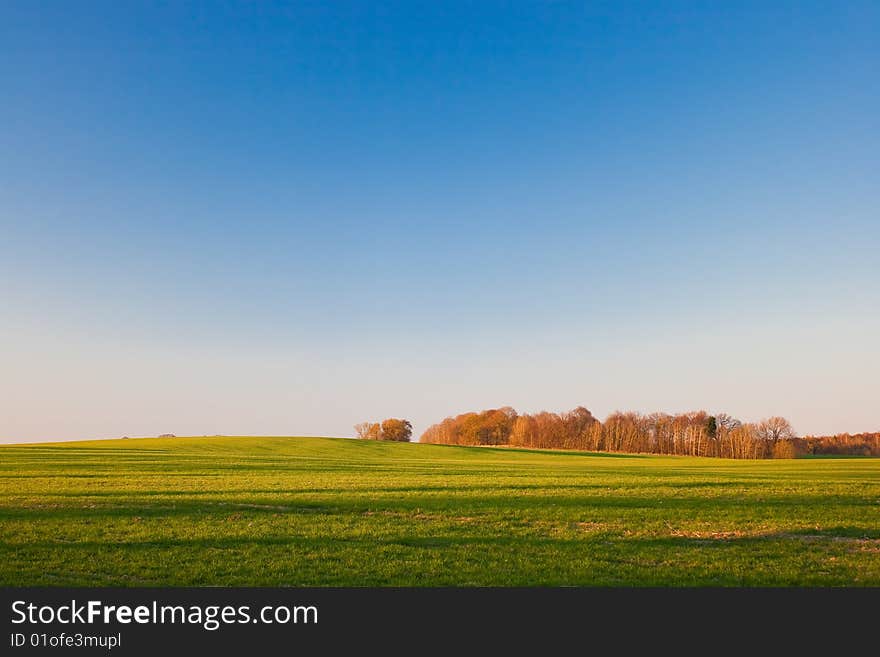 Green field and trees