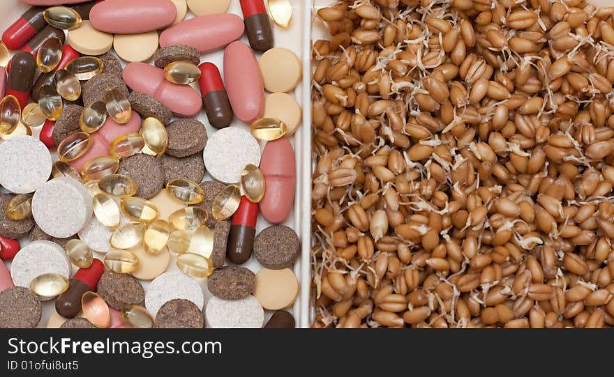 Pill And Tablet Vs Wheat