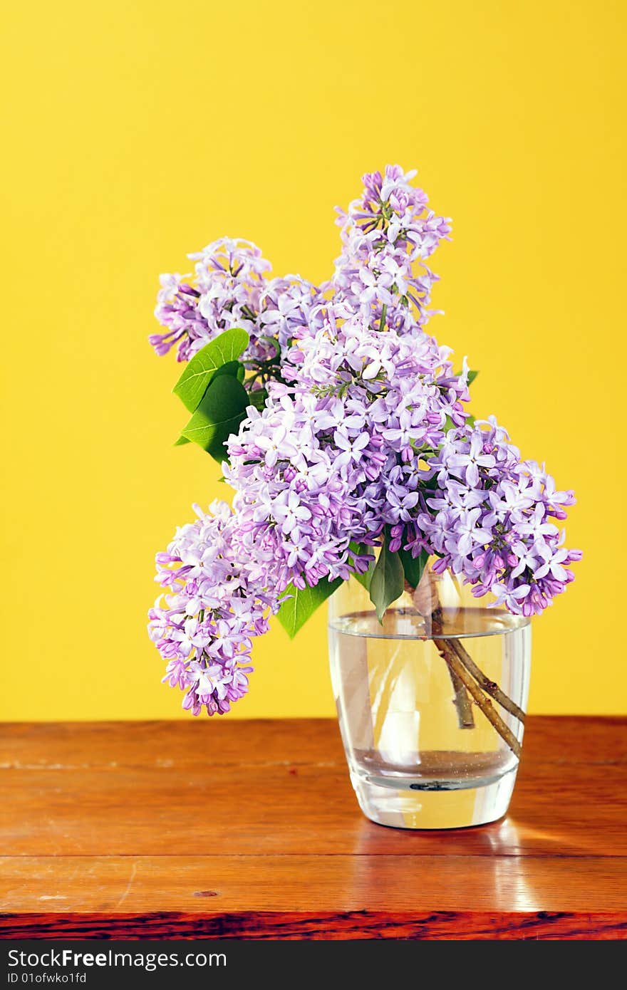 Lilacs