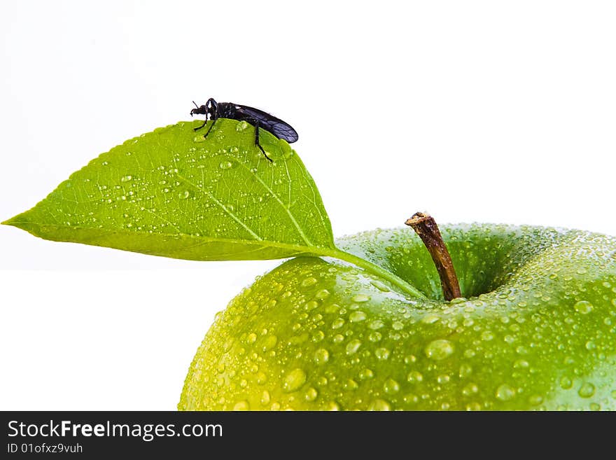 Green apple and bug, isolated on white