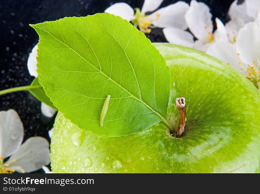 Green apple and caterpillar, on black surface