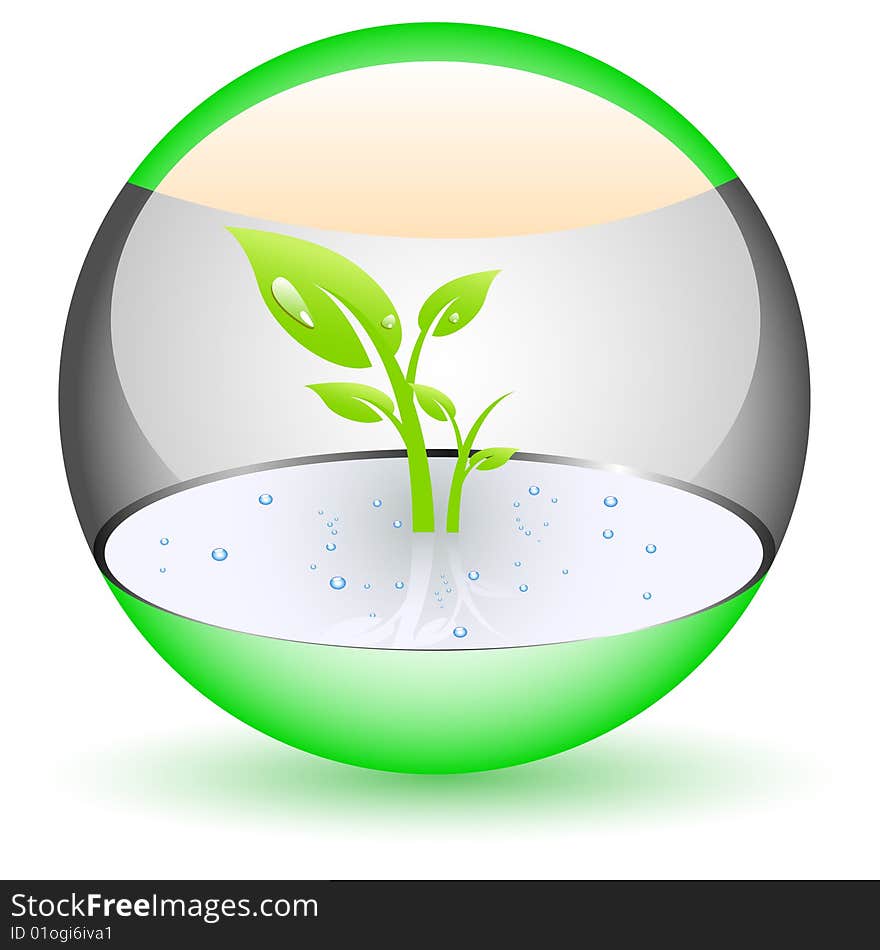 Glossy orb with plant inside