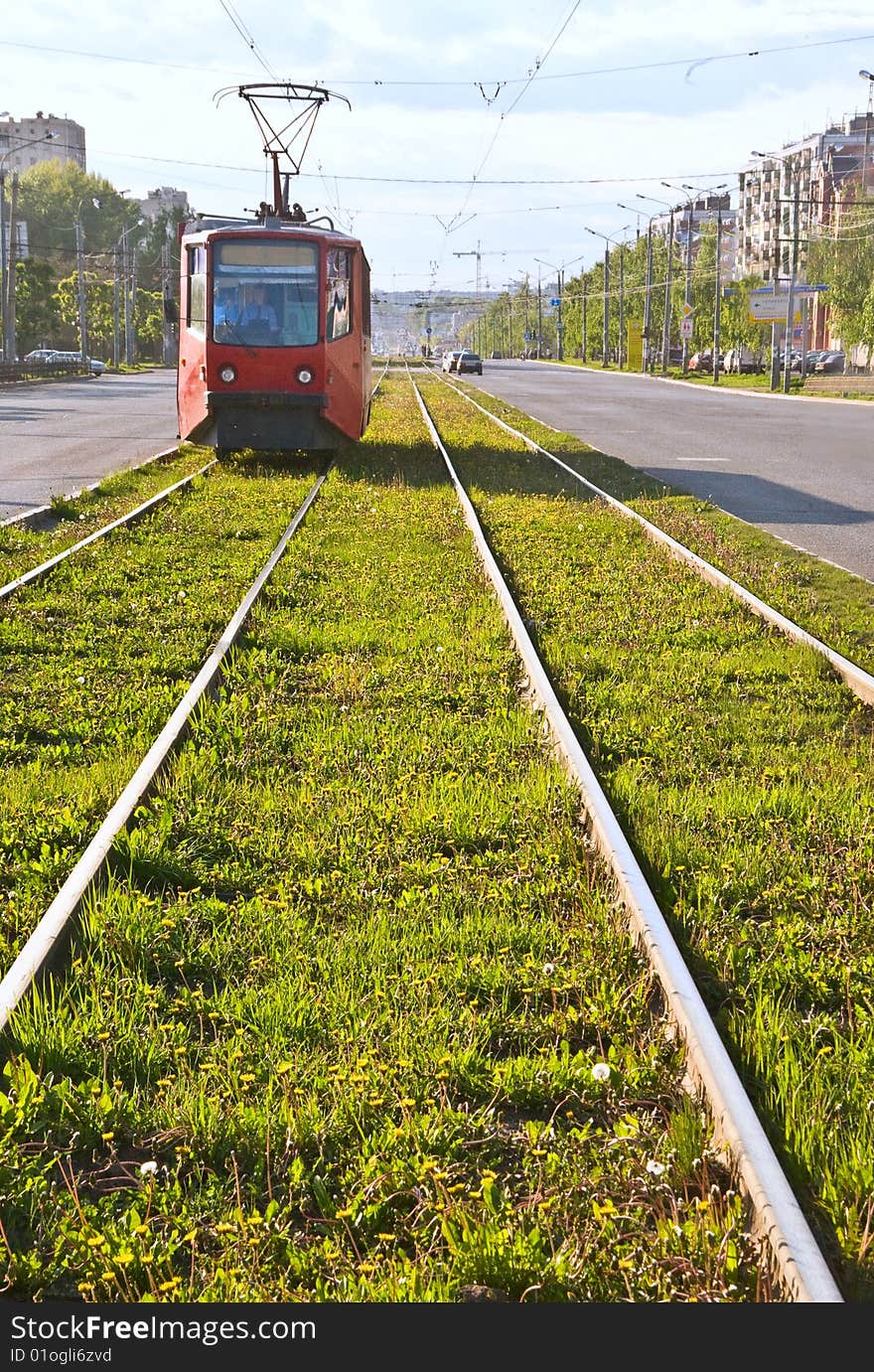 Tram on the street and field of dandelion. Tram on the street and field of dandelion