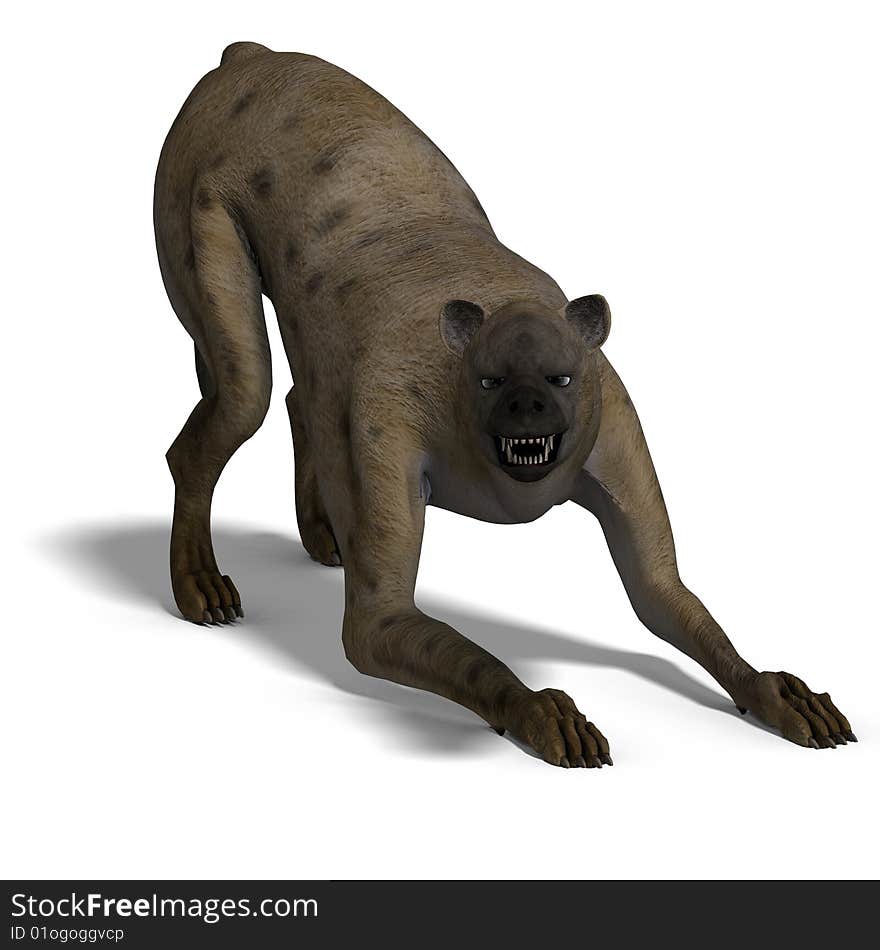 Rendering of a hyena with clipping path and shadow oder white