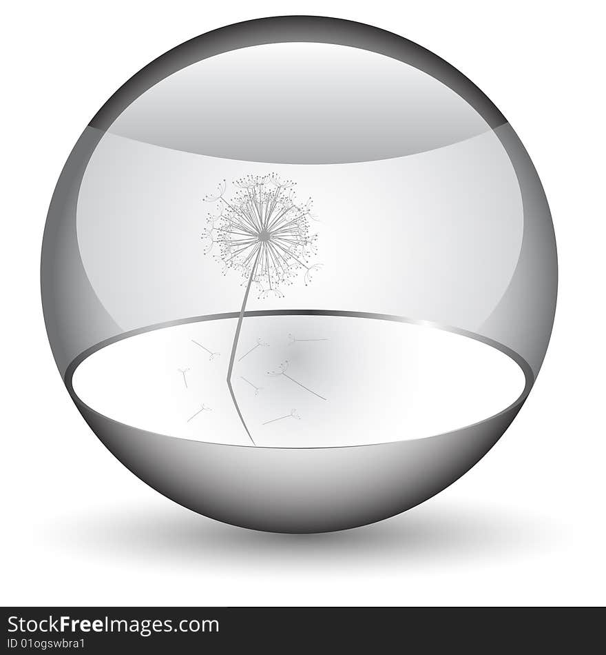 Dandelion In The Orb