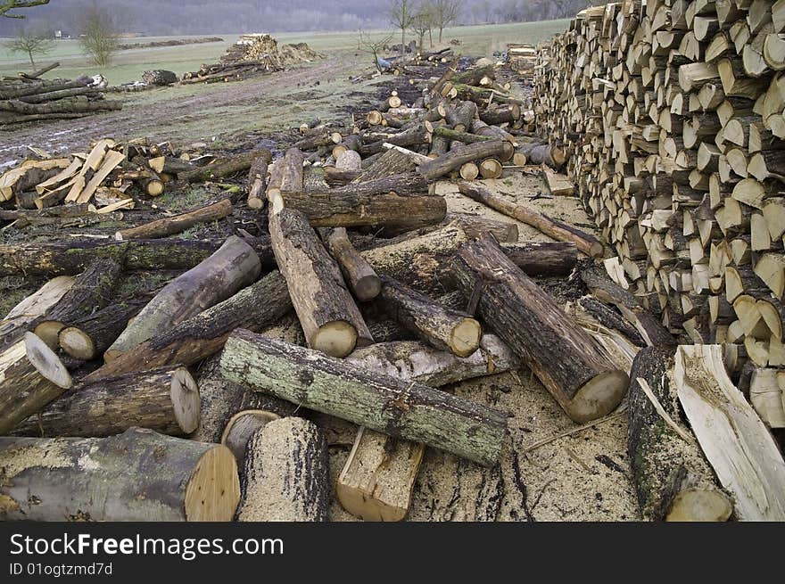 A woodpile in the open field