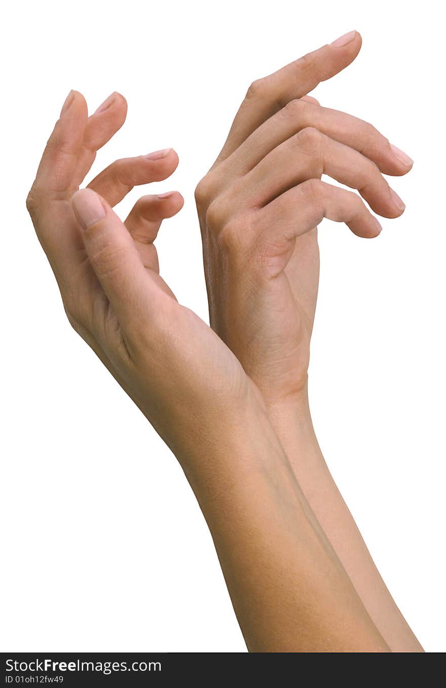 Hands of a young woman, well-kept isolated on a white background.