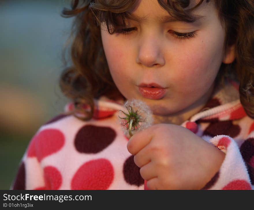 Little Dandelion Blower.