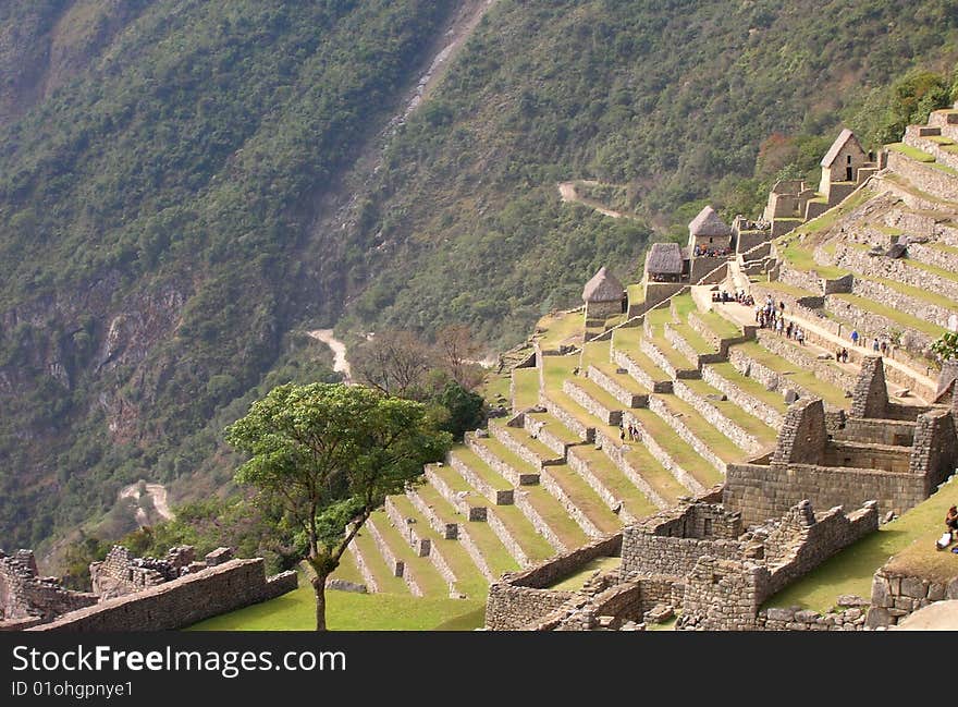 Machu Picchu with terraces and road