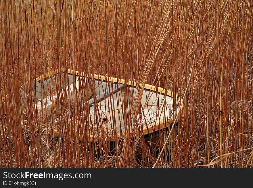 Boat Among Reeds