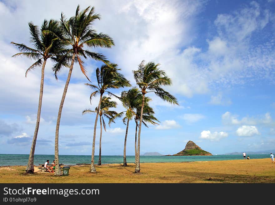 Chinaman s Hat, O ahu, Hawaii