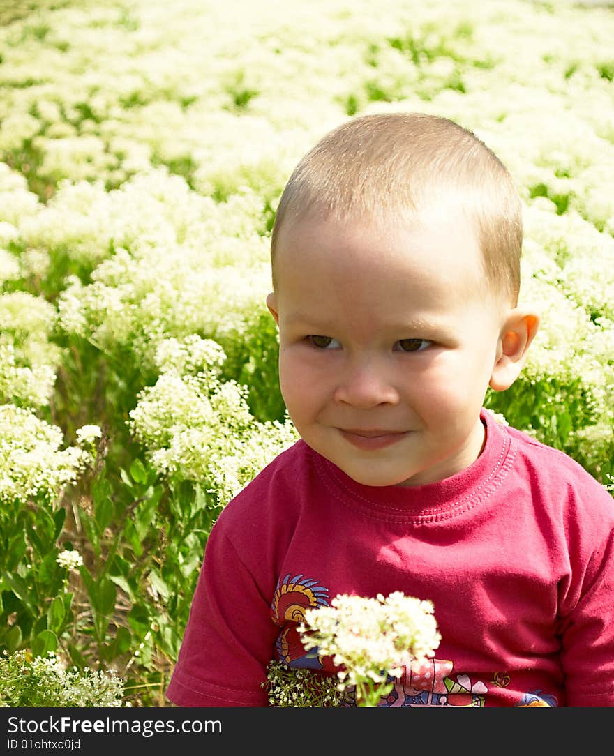 Little boy picking flowers (white field). Little boy picking flowers (white field)