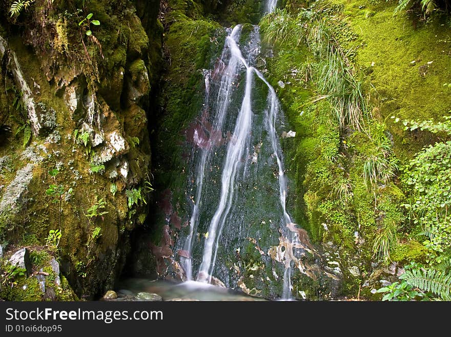 Little creek running over a mossy rock deep in the rain-forest, in New Zealand. Little creek running over a mossy rock deep in the rain-forest, in New Zealand