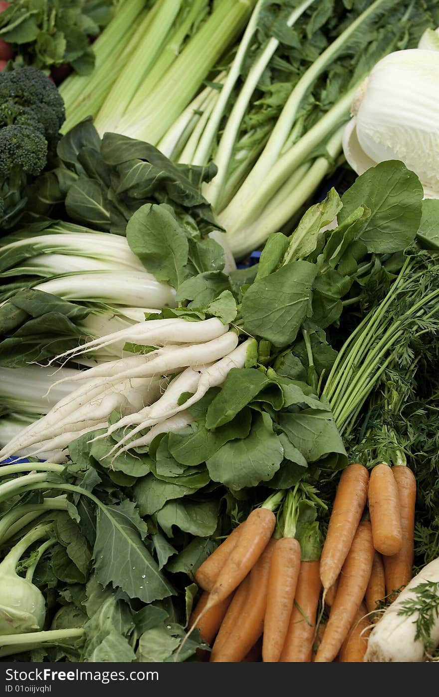 Carrots And Radishes