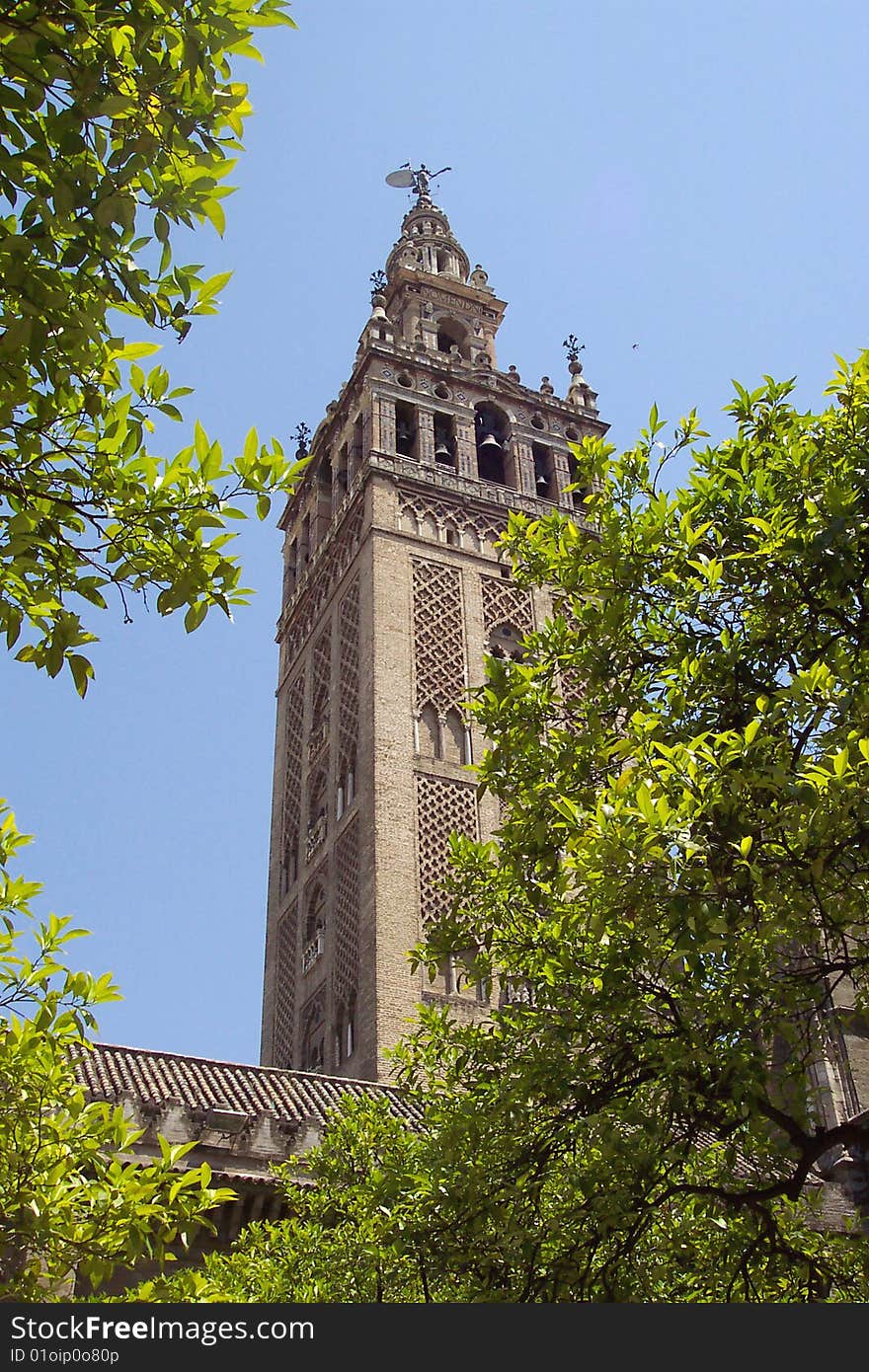 Seville cathedral surrounded by Orange trees